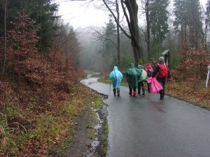 Nr 37.