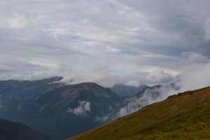DSC_0666