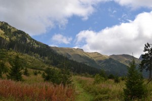DSC_0700