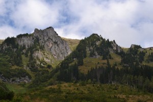 DSC_0702