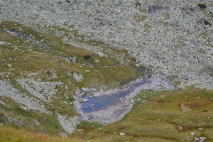 DSC_0754
