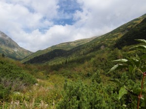 SAM_0141