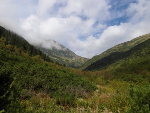 SAM_0142