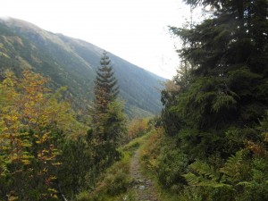 SAM_0146