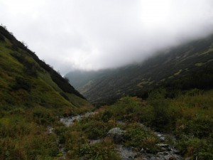 SAM_0149