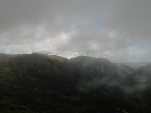 SAM_0156