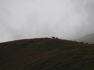 SAM_0167