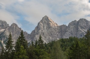 DSC_6104 