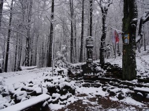BESKID MAŁY-Porąbka-Hrobacza Łąka-Międzybrodzie Bialskie (1)