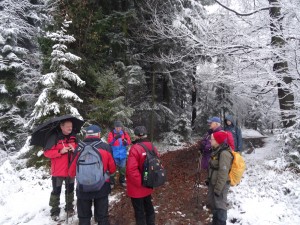 BESKID MAŁY-Porąbka-Hrobacza Łąka-Międzybrodzie Bialskie (12)