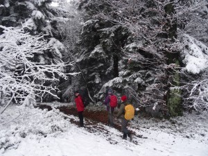 BESKID MAŁY-Porąbka-Hrobacza Łąka-Międzybrodzie Bialskie (13)