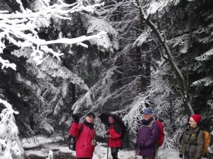 BESKID MAŁY-Porąbka-Hrobacza Łąka-Międzybrodzie Bialskie (14)