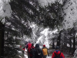 BESKID MAŁY-Porąbka-Hrobacza Łąka-Międzybrodzie Bialskie (15)