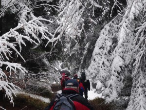BESKID MAŁY-Porąbka-Hrobacza Łąka-Międzybrodzie Bialskie (16)
