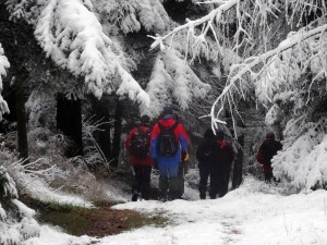 BESKID MAŁY-Porąbka-Hrobacza Łąka-Międzybrodzie Bialskie (18)