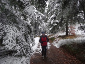 BESKID MAŁY-Porąbka-Hrobacza Łąka-Międzybrodzie Bialskie (19)
