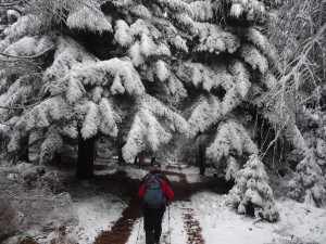 BESKID MAŁY-Porąbka-Hrobacza Łąka-Międzybrodzie Bialskie (20)