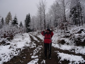 BESKID MAŁY-Porąbka-Hrobacza Łąka-Międzybrodzie Bialskie (24)