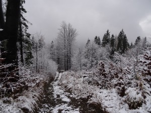 BESKID MAŁY-Porąbka-Hrobacza Łąka-Międzybrodzie Bialskie (25)