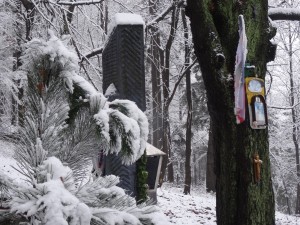 BESKID MAŁY-Porąbka-Hrobacza Łąka-Międzybrodzie Bialskie (4)