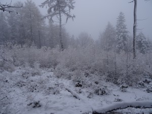 BESKID MAŁY-Porąbka-Hrobacza Łąka-Międzybrodzie Bialskie (5)