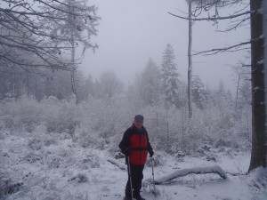 BESKID MAŁY-Porąbka-Hrobacza Łąka-Międzybrodzie Bialskie (6)