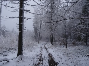 BESKID MAŁY-Porąbka-Hrobacza Łąka-Międzybrodzie Bialskie (7)