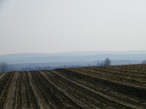 19a 