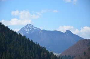 DSC_0015