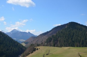 DSC_0019