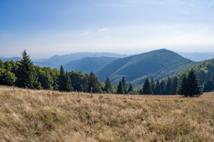 DSC_7622     
