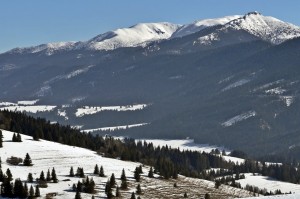 DSC_5048 