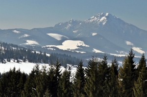 DSC_5056 