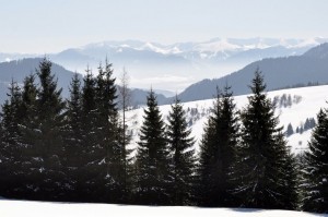 DSC_5063 