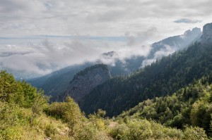 DSC_7153