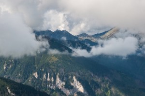 DSC_7163