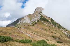 DSC_7190