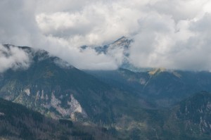 DSC_7200