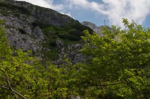 DSC_5844