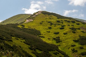 DSC_5855