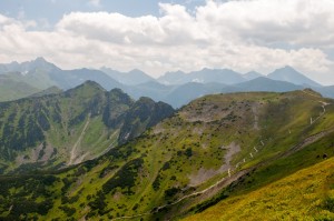 DSC_5864