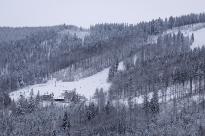 DSC_8166       