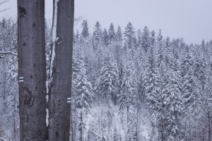 DSC_8179     