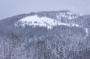 DSC_8187       
