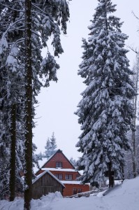 DSC_8203     