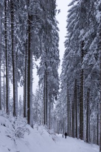 DSC_8204     