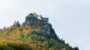 161015 09 50 41-P1070003 krzychu