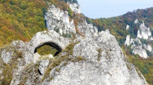 161015 14 27 47-P1070286 krzychu 