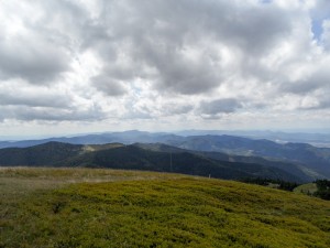 SAM 3729 akomandera