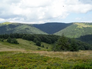 SAM 3739 akomandera